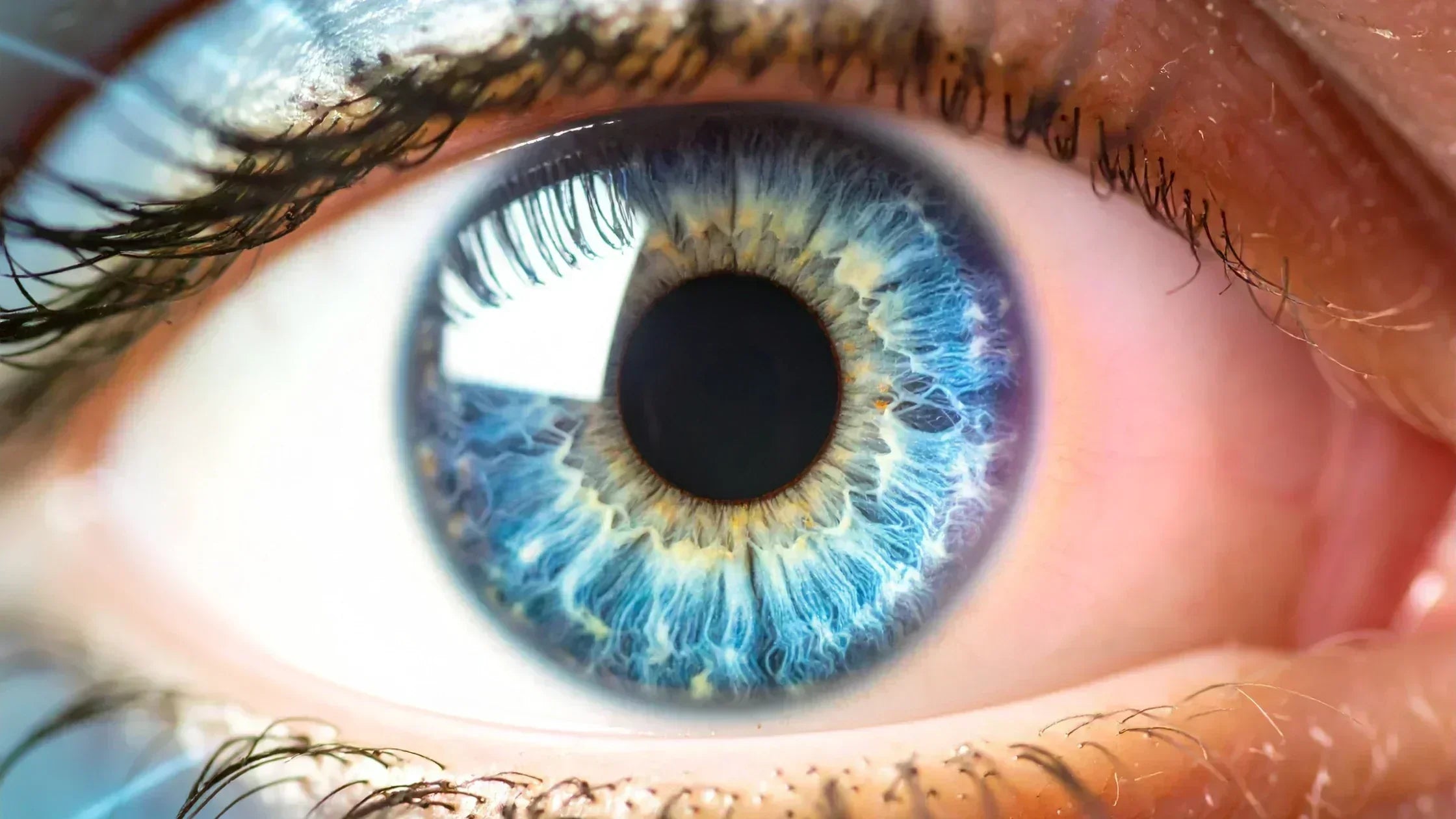 What Is PD and How to Measure It at Home (Easy Guide)